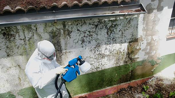 Mold Removal service in Roanoke